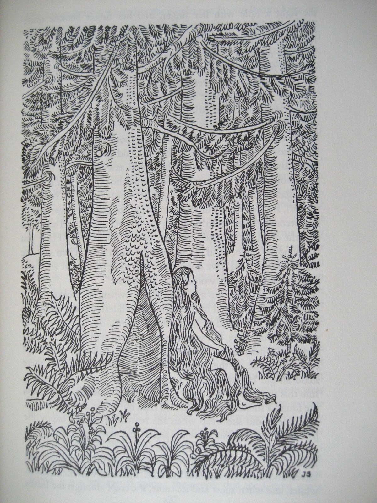 Picture 18 of 21