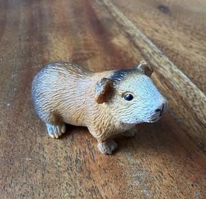 Lot De 6 Figurines Miniature Cochons D'Inde En Résine – Modèles Animaux Pour Jardin, Micro-paysage, Décoration De Pot De Fleurs Et Maison De Poupée