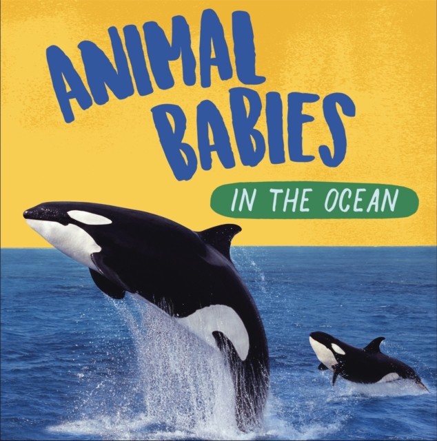 Animal Babies: In the Ocean by Sarah Ridley (Paperback Book)