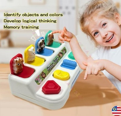 Payoe Pop-Up Animal Toy Box   Peekaboo Sensory Learning Game for Toddlers