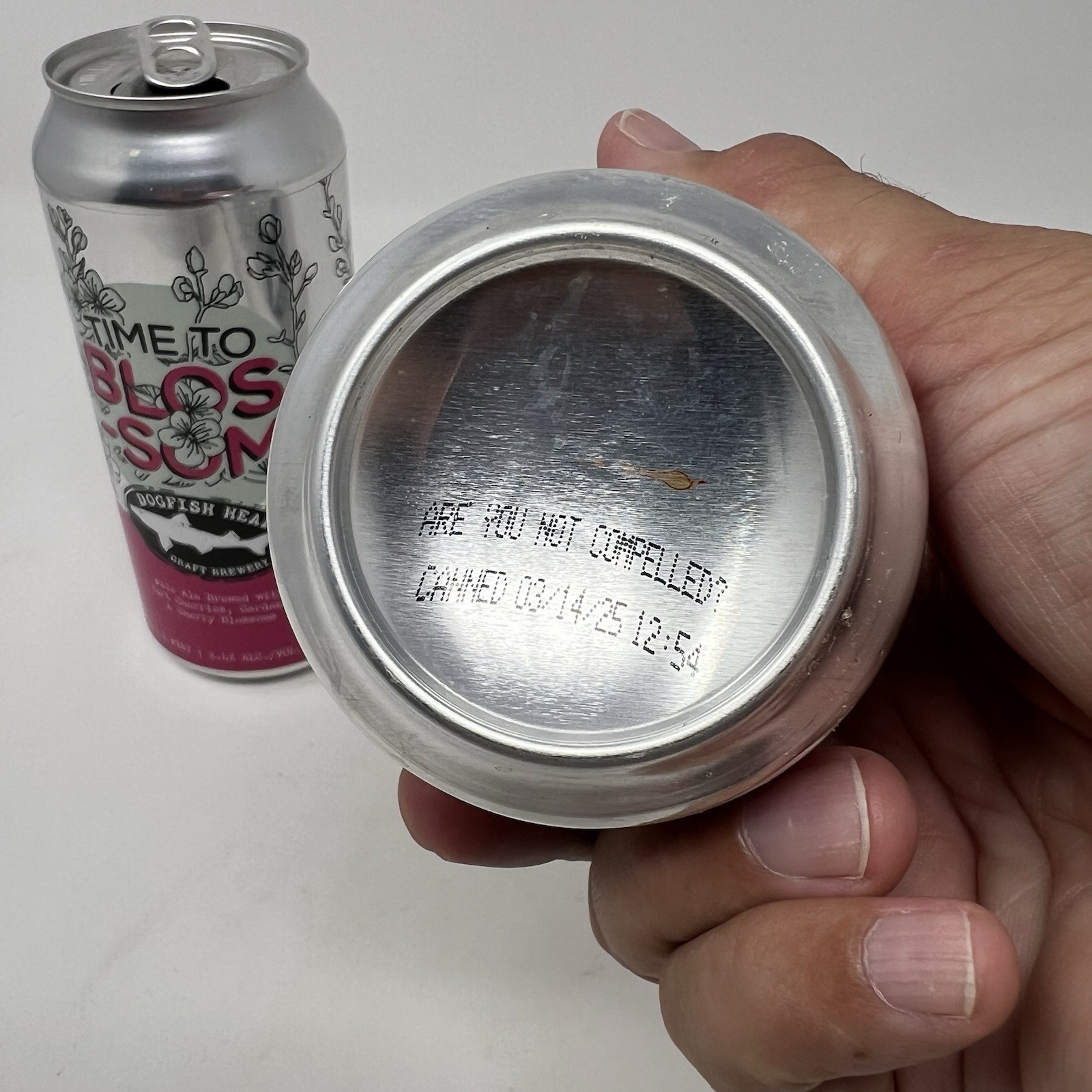 Two Empty Beer Cans Dogfish Head Craft Brewery Time To Blossom Pale Ale