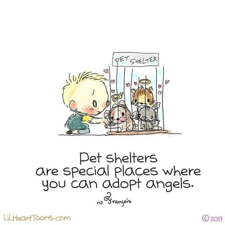 1/32 Ultimate 99345 German WWII 3 Ton STD Truck  w/2 Figures DIECAST MIB - Image 4 of 4