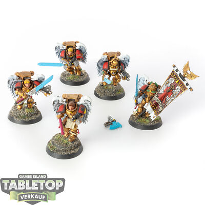 Blood Angels - 5x Sanguinary Guard (Classic) - bemalt