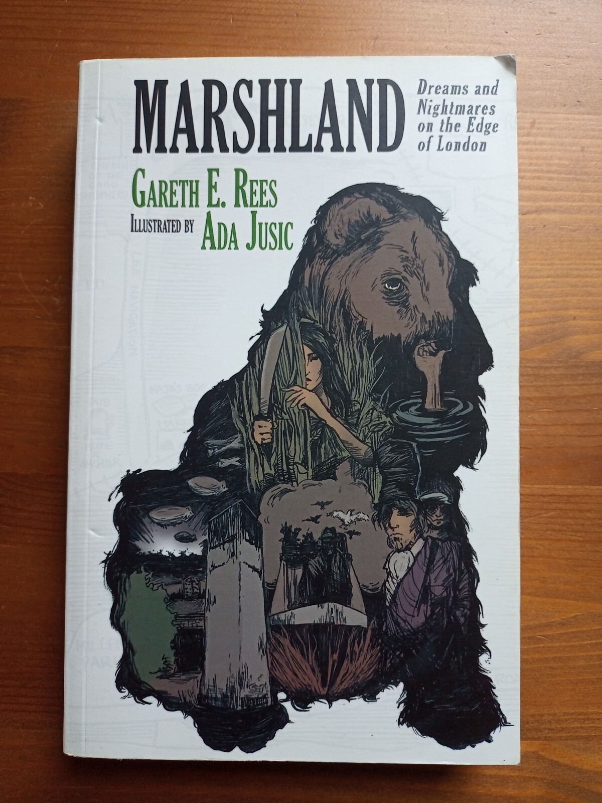 Marshland - Gareth E. Rees