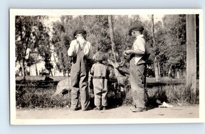 Old Vintage Photo TRIO BOYS FEEDING DEER BEHIND FENCE ZOO EXHIBIT SNAPSHOT