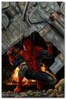 Amazing Spider-Man #14 (2025) bermejo amazing visions virgin variant 1:100