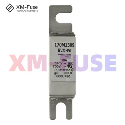 NEW EATON/Bussmann 170M1309 16 A, AC 690 V, 21 x 40 x 100 mm,high speed Fuse
