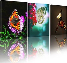 Wall Decor Artwork Poster Butterfly Paintings Flower Floral Insect Botanical Ele