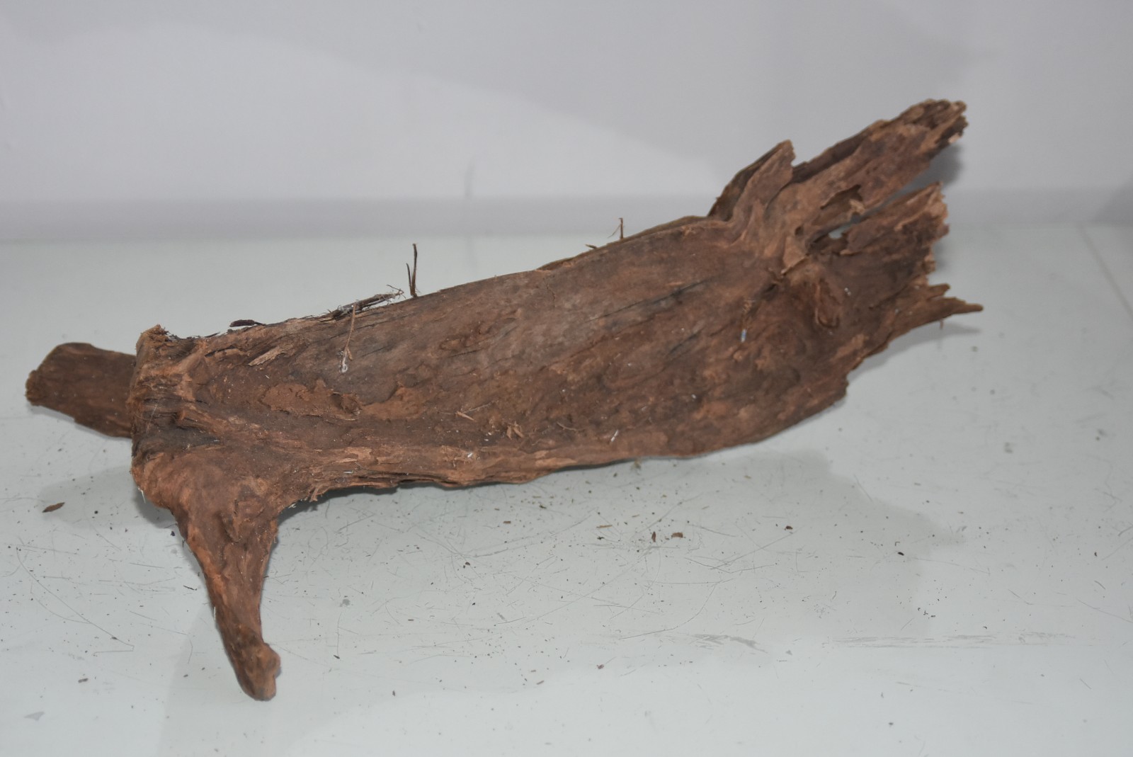 Real Aquarium Bog Wood 2 Large Pieces Roots Logs Driftwood For Aquariums BWLB8B eBay