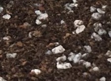 Pumice and Sphagnum Peat Moss Plant Potting Succulent Bonsai Soil FAST SAME DAY