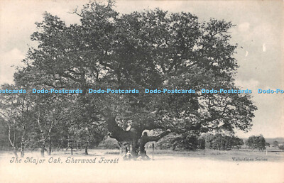 R551341 Sherwood Wald Die große Eiche Postkarte