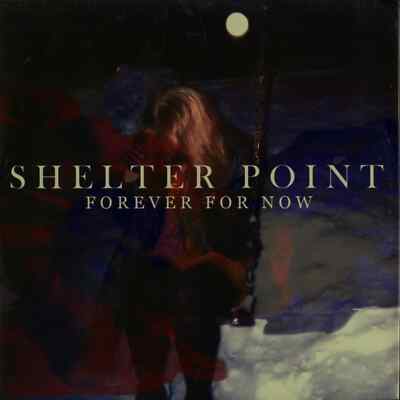 Shelter Point / FOREVER FOR NOW / Hot Flush Recordings  / hf035 / 12 Inch