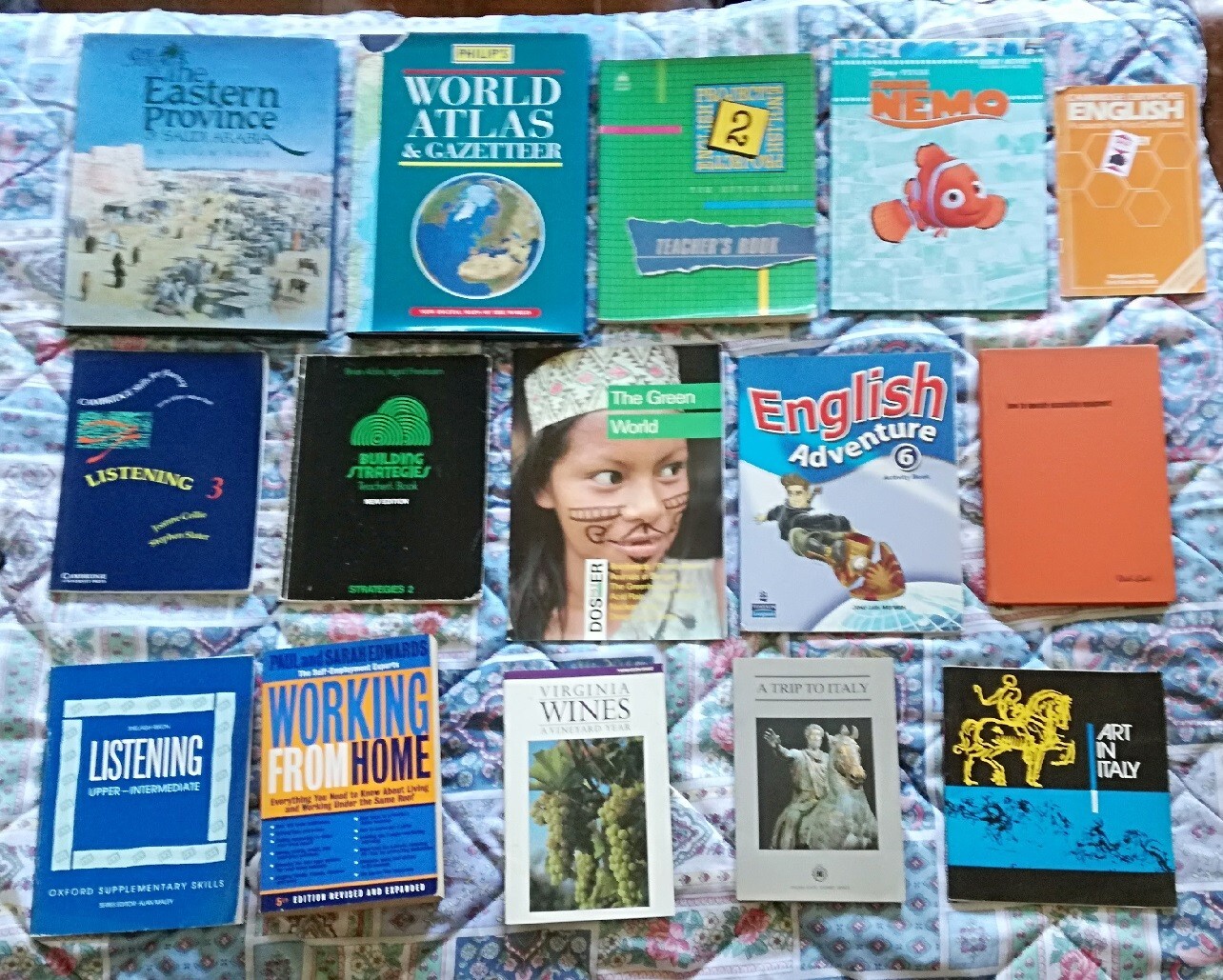 Lote de 15 libros en ingles