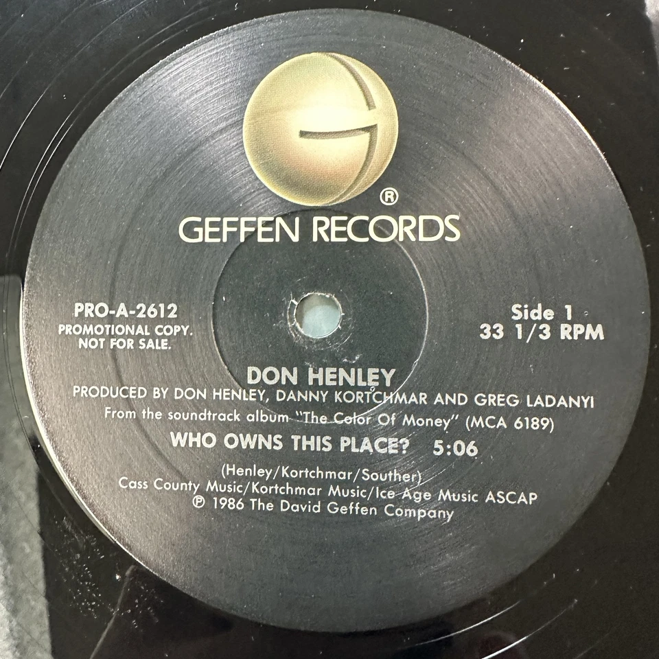 Who Owns This Place? Record Vinyl 12” Don Henley Geffen 2612 Pop Foto 3 de 4