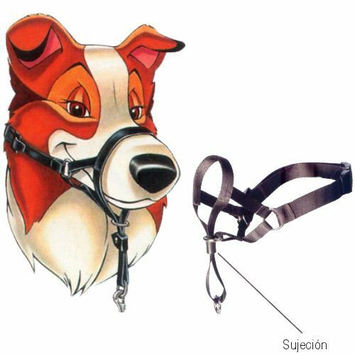 Arnes bozal negro controlador de adiestramiento perros XL cuello 48-62 cm