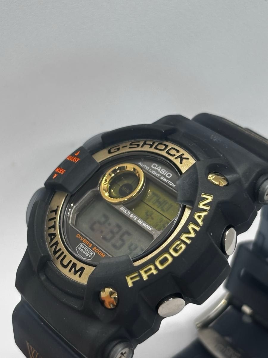 CASIO G SHOCK FROGMAN DW 9900 W.C.C.S. Titanium - Gem