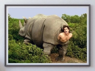 Ace Ventura Rhino Scene Jim Carrey Funny Comedy Movie Poster