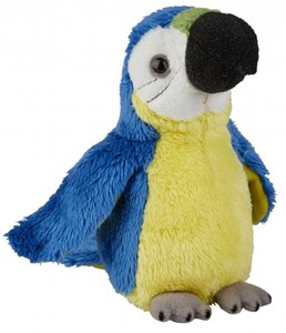 blue macaw toy