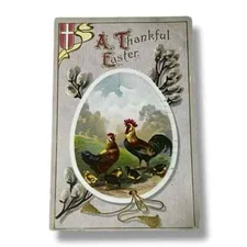 Postcard A Thankful Easter Rooster Hen Chicks c1911 Embossed Divided Back C559