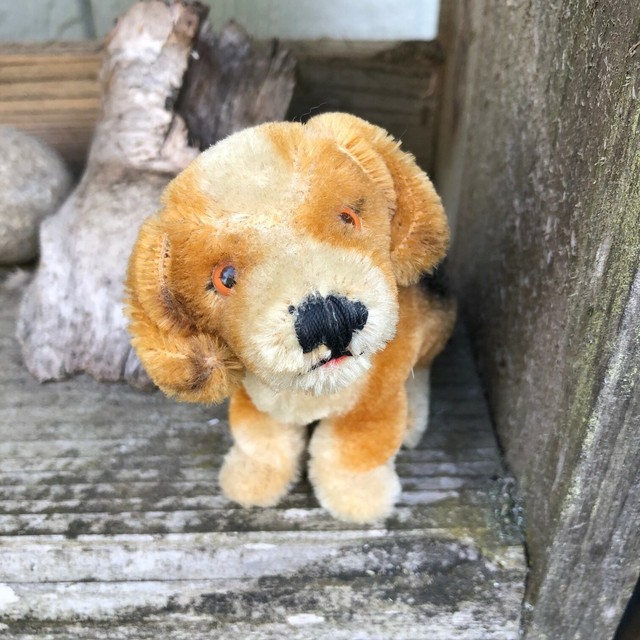 Vintage Steiff Hound Dog Stuffed Mohair Animal eBay