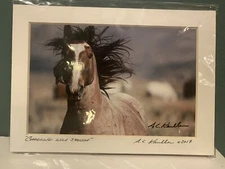 A.C. Kandler Fine Art Photograph Wild Horse “Charging Wild Stallion” - 5”x7”