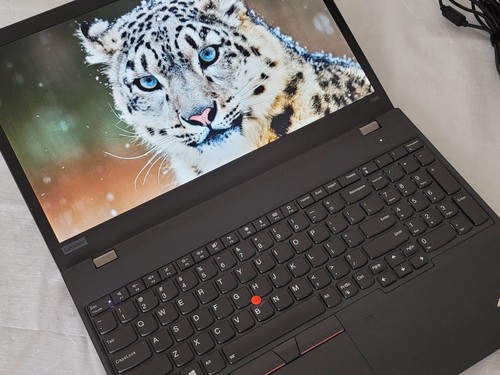Lenovo ThinkPad T590 15.6" FHD IPS Core i5-8265U 16GB 512GB NVMe Win10/11 pro - Picture 8 of 14