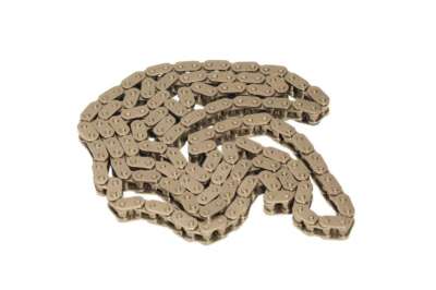 Engine Timing Chain