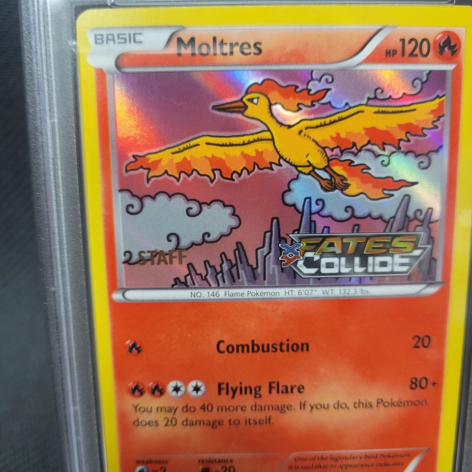 Pokémon Fates Collide PSA 7 Moltres XY127 Prerelease STAFF Promo Card NM - Image 2 of 4