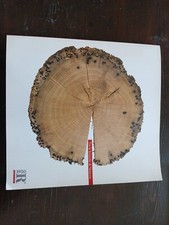 Riva 1920, Tra le briccole di Venezia