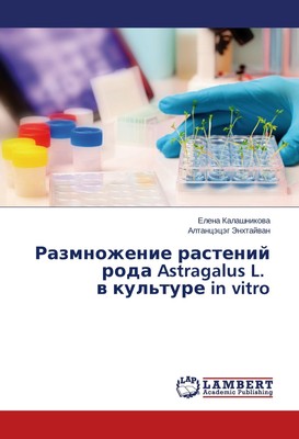 Razmnozhenie rastenij roda Astragalus L. v kul'ture in vitro Elena Kalashnikova