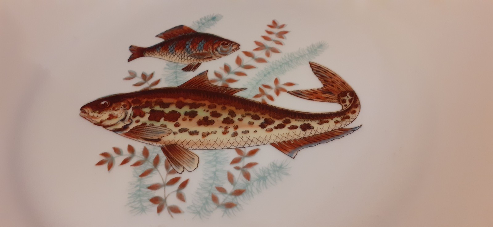 RICHARD GINORI Fish Served. 12 Person Set