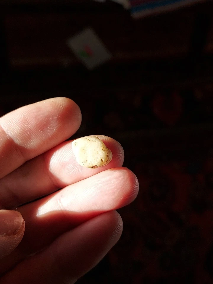 Ancient Natural Clam Pearl - Image 3 of 4