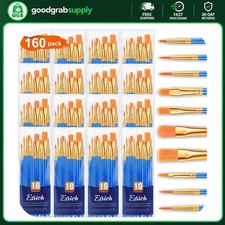 Paint Brush Set 16 Packs 160 Pcs Multi-Functional Brushes for Acrylic