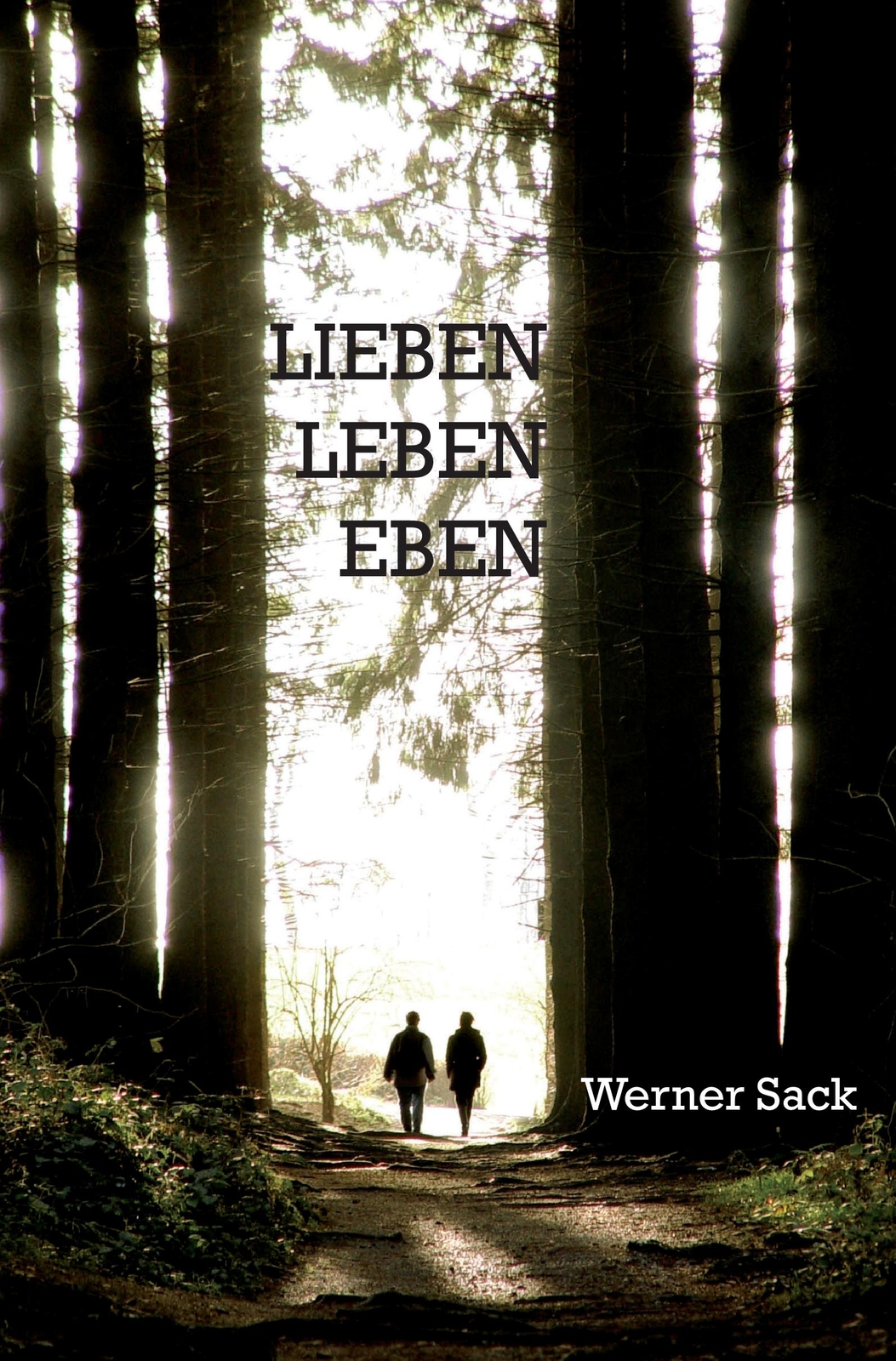 Thumbnail - Lieben, Leben, Eben | Buch | 9783868708448