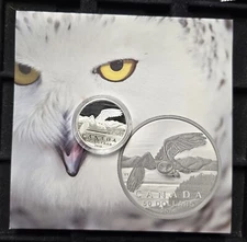 2014 Canada Snowy Owl 15.87 Grams .9999 Silver $50 Matte Proof w/ Original OGP
