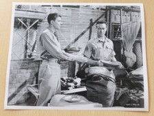 Ronald Regan John Mills The Hasty Heart Original Vintage Film Photograph 10x8 #1