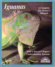 Iguanas Evertyhing about Selection, Care, Nutrition, Diseased, Breeding and
