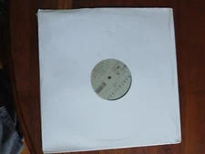 Earthtones "Sally" 12" Vinyl New Sealed Promo