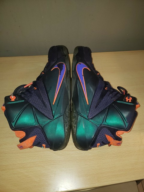 lebron xii shirts