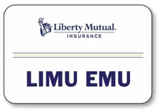 LIMU EMU & DOUG SET OF 2 NAME BADGE PROPS HALLOWEEN COSPLAY PIN BACKS