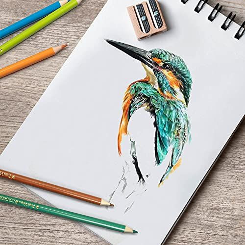 FanVean Colored Pencils Color Pencil Set for 50 Count (Pack of 1), Multicolor 