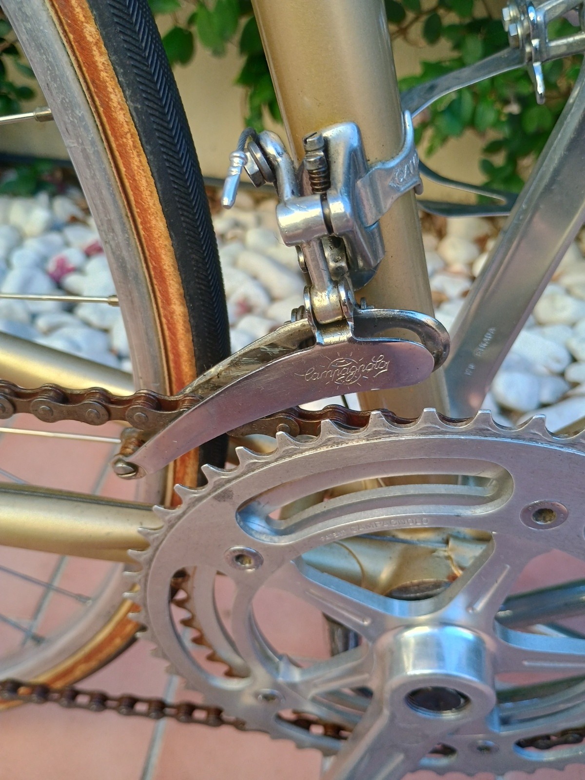 End Of 60s Vintage Masi Special Full Campagnolo record BCD 151 VVGC 54#55