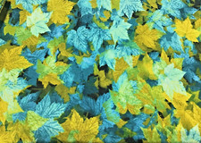 One Yd. Timeless Treasures FALL LEAVES Fabric Patt. Nature-C 6184