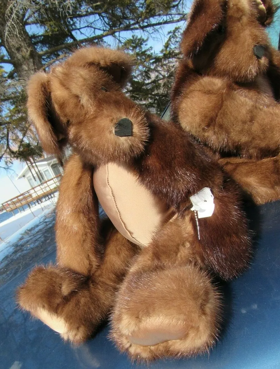 Wish teddy coat discount