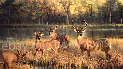 Nancy Glazier SHADOW TIME 20'' x 35'' w/coa Signed & Numbered Limited Ed Buck Deer