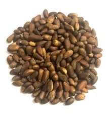5 lbs Nevada Soft Shell Pine Nuts - Premium Grade - Fresh - Raw - 2025 Season