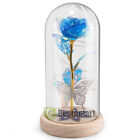 Bild 65 von 148
