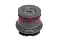 Schaeffler FAG 829 0489 10 AchskÖRperlager Lagerung AchskÖRper Hinten FüR Alfa R