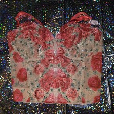Victoria's Secret Dream Angels Strapless Floral Embroidered Corset Top 32DD NWT