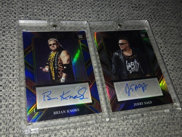 Nasty Boyz Brian Knobs /35 Blue Prizm Jerry Sags Silver Prizm Panini Select WWE